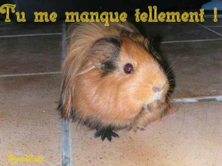 sa c vré!!!!!!!!!